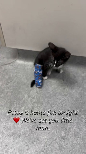 77P60bOucJrX KLT.jpg