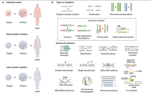 Gu3SW2XXEAAkC9 ?format=jpg.jpg