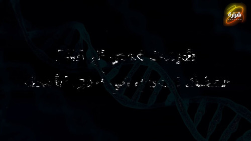 chZDr2fp8bKz 0Ef.jpg