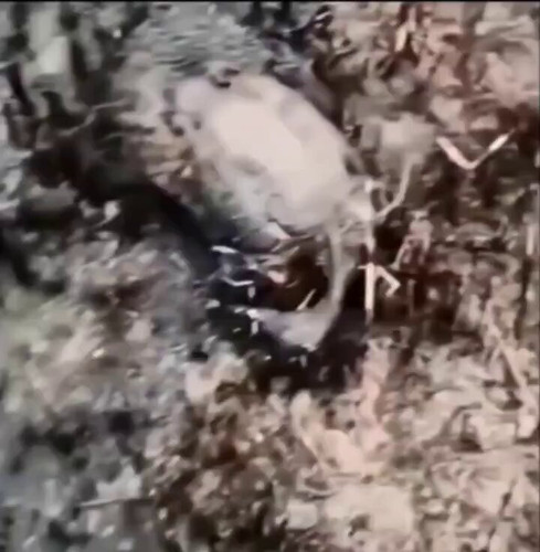 zkm ctBynmaVdsUZ.jpg