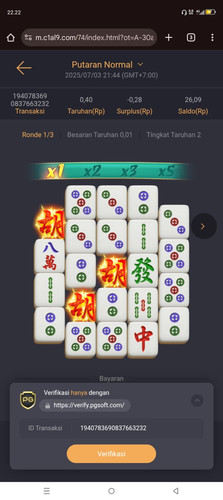 WhatsApp Image 2025 07 03 at 10.41.31 PM.jpg