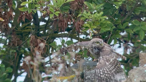 SZVMKmi2uRI5DpE .jpg