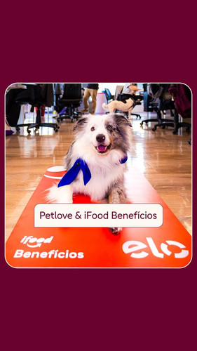 get? sig=oEZvr9I lvLuWcGusaTAhA& expires=1751559070&uri=https%3A%2F%2Finstagram.fphl1 1.fna.fbcdn.ne