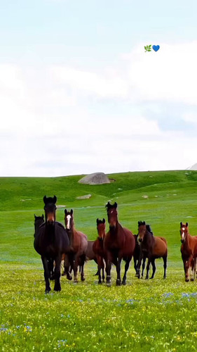 O 0b7 RJsxi4qS X.jpg