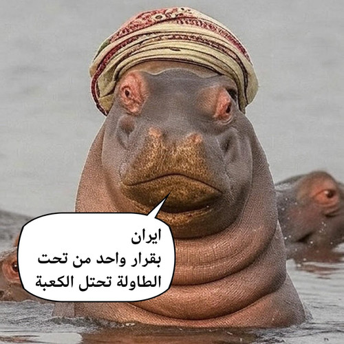 Gu6AQqCXoAAw1h ?format=jpg.jpg