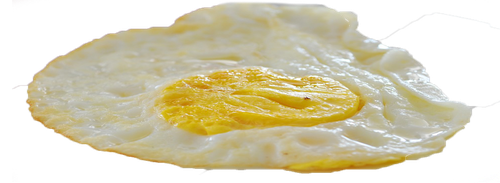 fried egg.png