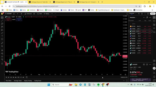 aue0LFk1jXSNS3S .jpg