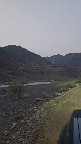 WpSdamYtxmgFWOU .jpg