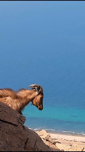 zBmxf7 vRiCWnq3Z.jpg