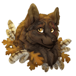 Tytoalba TP optimized.png