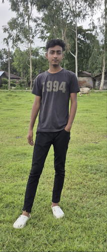 file 11685.jpg