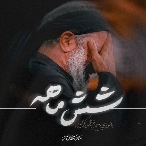 دانلود آهنگ محمود کریمی به نام شش ماهه