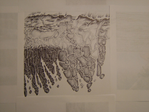dream project the wave.jpg