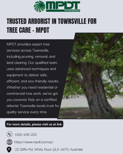 Trusted Arborist in Townsville for Tree Care MPDT.jpg