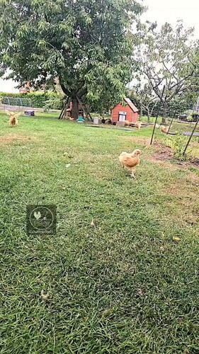 VJXahxmG6 PPivoY.jpg