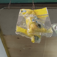 c36d95f2cc46.png