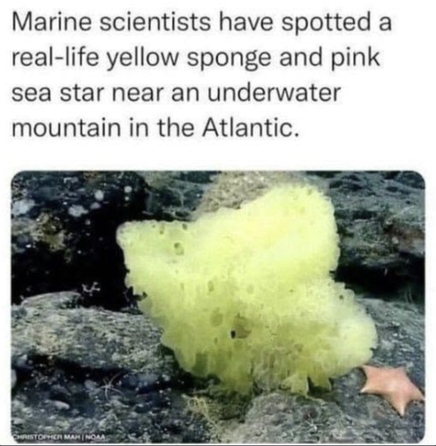 Screenshot 2025 07 04 at 7.24.53 AM.png