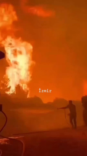 ZDQ7yKfnLz1ondVT.jpg