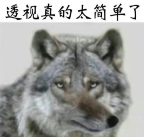 IMG 9374.jpg
