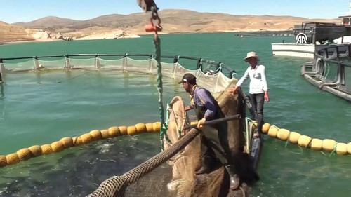 bIelju tcexMyKBG.jpg