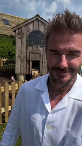 4P8zd5is8Wd snI5.jpg