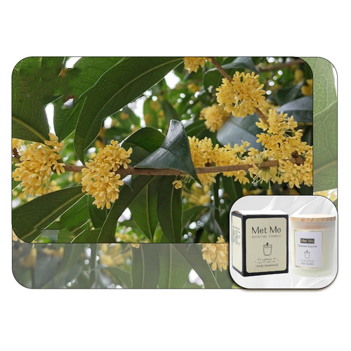 O1CN01bWRtlc1I5Dxfw3SCP !!2216006110841 0 cib.jpg