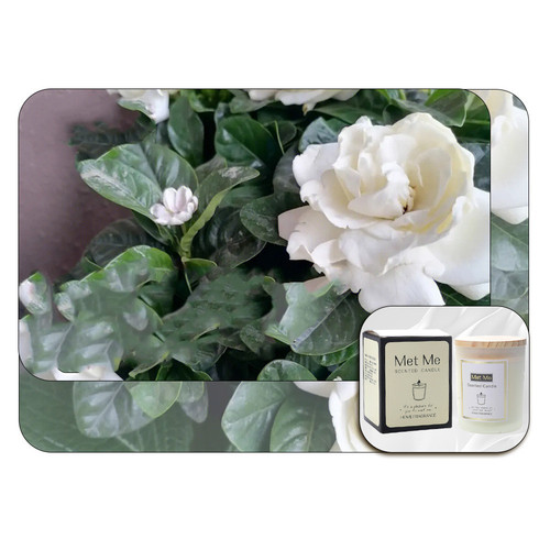 O1CN01LACshp1I5Dxkt5EWa !!2216006110841 0 cib.jpg