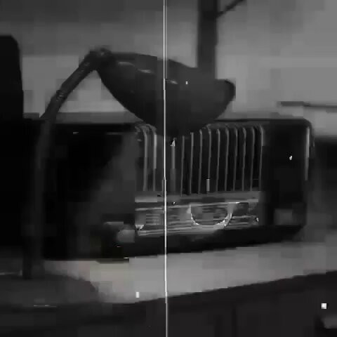 LPK3E9qEy2Ol0BW5.jpg