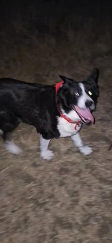 rtBU0p18vg2WHkh .jpg