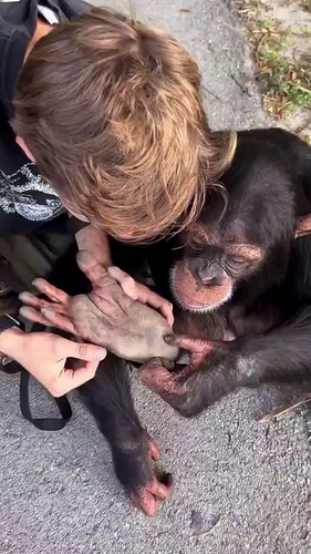 LKVC dCNgSdtUPDK.jpg