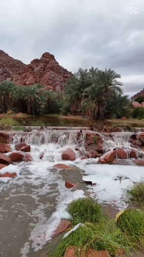 vvfVcm Ecz12waIw.jpg