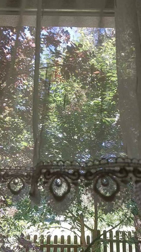 rlO zij987 MSSgK.jpg