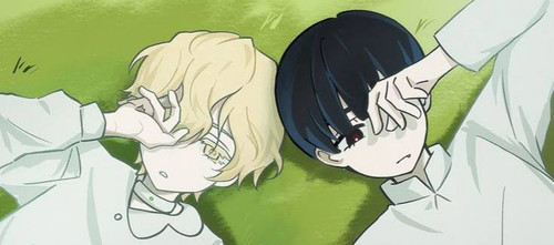 file 8130.jpg