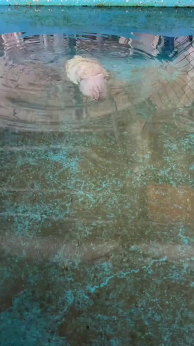 Hlbd DXWi2e0B4ky.jpg