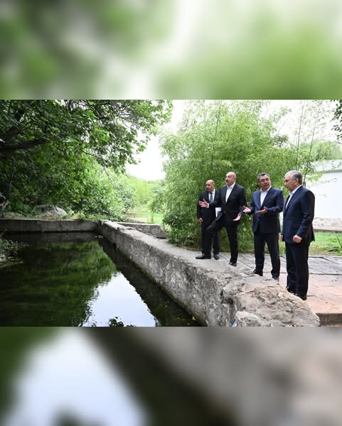 516312420 18516604774031353 8978128184074194452 n.jpg?stp=dst jpg s600x600 tt6& nc cat=108&ccb=1 7& .jpg