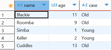 1. CASE WHEN example 1 results.png