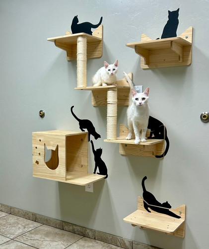 Gu3pFTOWUAAtlEP.jpg