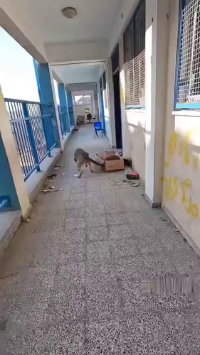 FyhctHxgrKO6Qg5 .jpg