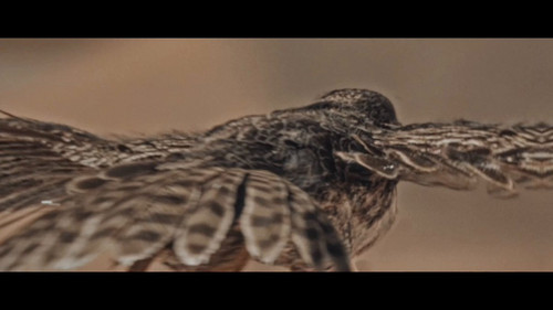 trXeJ5I ZLs8b6ag.jpg