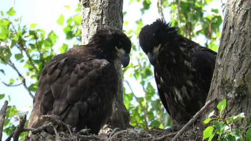 VAu0jhCU KIJwjS .jpg