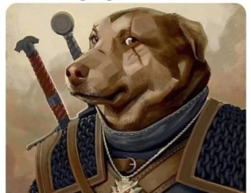 dogeralt.jpg
