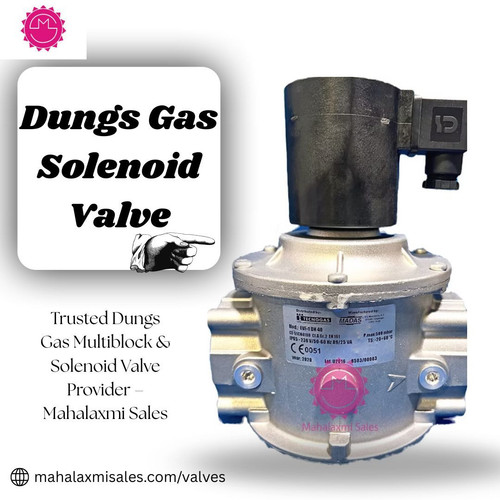 Dungs Gas Solenoid Valve.jpg