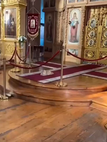 FQYgpRUIuV0nrCeJ.jpg