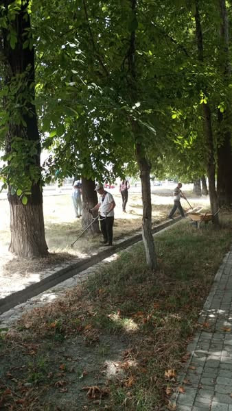 514246655 745725701303327 5436152584786653395 n.jpg?stp=dst jpg s600x600 tt6& nc cat=106&ccb=1 7& nc.jpg