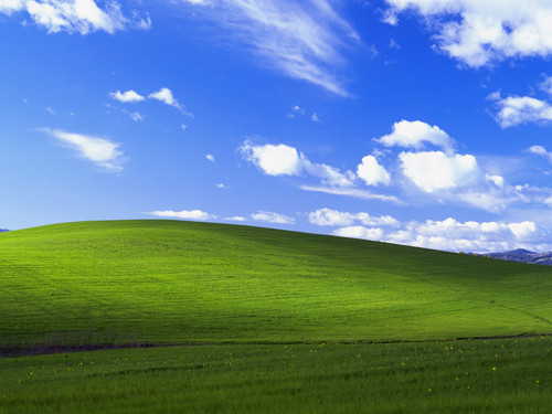 BLISS.jpg