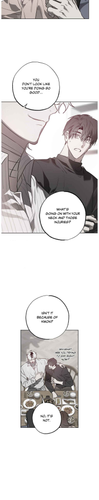 9.png