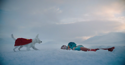 vlcsnap 2025 08 16 16h41m46s198.png