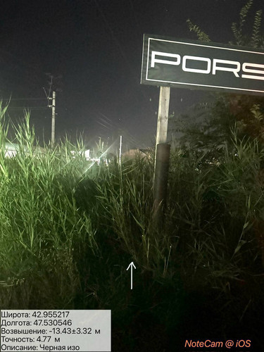 photo 3 2025 08 17 04 01 53.jpg