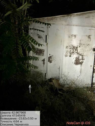 photo 5 2025 08 17 04 01 53.jpg