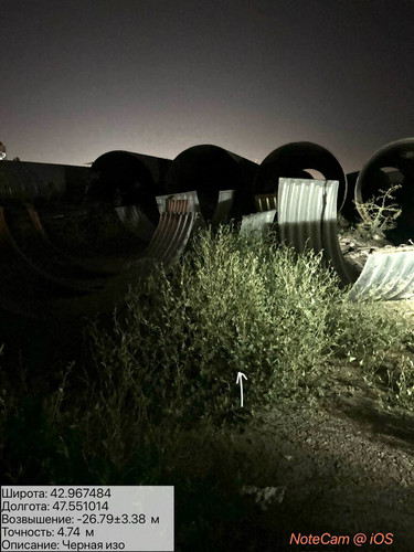 photo 8 2025 08 17 04 01 53.jpg